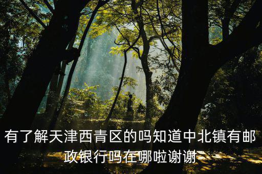 天津市西青區(qū)王穩(wěn)莊郵政儲蓄銀行，天津西青區(qū)西青道南方物流附近哪有郵政儲蓄