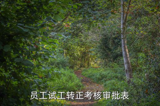 員工試工轉(zhuǎn)正考核審批表