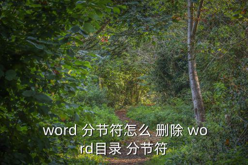  word 分節(jié)符怎么 刪除 word目錄 分節(jié)符