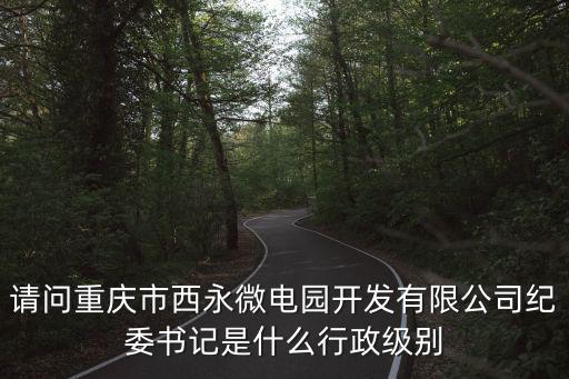 重慶市巴南區紀委是什么級別，地級市的紀檢委書記是什么級別