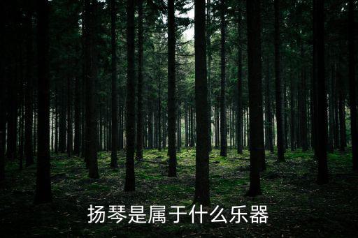 揚琴是屬于什么樂器