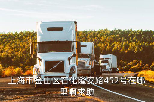上海市金山區石化隆安路452號在哪里啊求助