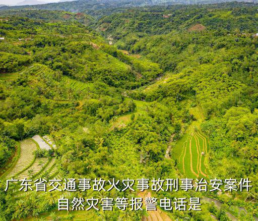 廣東省刑偵專線電話，廣東省交通事故火災事故刑事治安案件自然災害等報警電話是