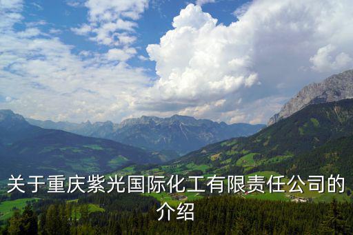 關(guān)于重慶紫光國(guó)際化工有限責(zé)任公司的介紹