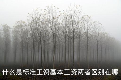 標(biāo)準(zhǔn)工資，什么是標(biāo)準(zhǔn)工資