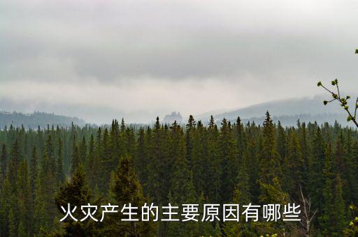  火災產生的主要原因有哪些