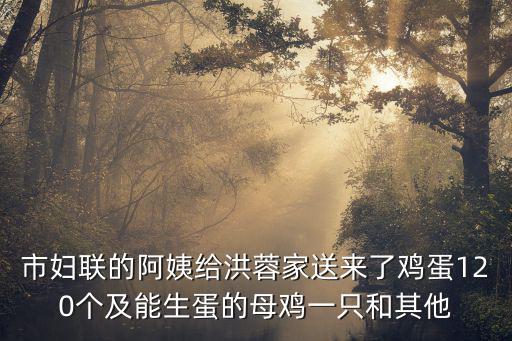 市婦聯的阿姨給洪蓉家送來了雞蛋120個及能生蛋的母雞一只和其他