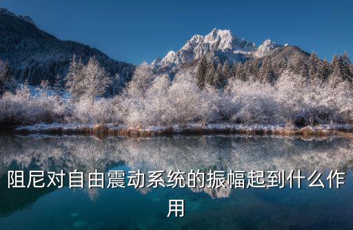 阻尼對自由震動系統(tǒng)的振幅起到什么作用