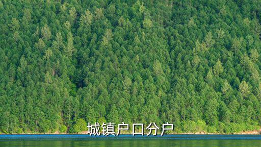 城鎮戶口分戶