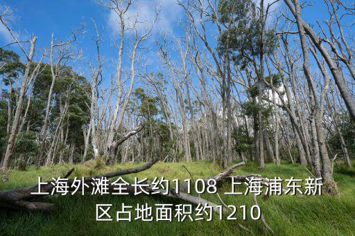 上海外灘全長約1108 上海浦東新區(qū)占地面積約1210