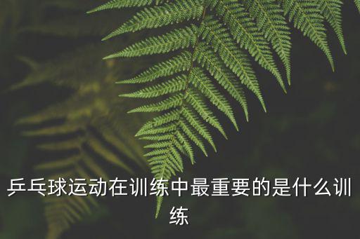陪練者,鋼琴陪練成為適應社會需求新興專業
