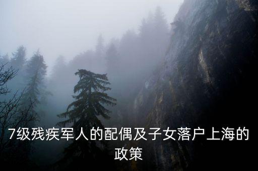 7級(jí)殘疾軍人的配偶及子女落戶上海的政策