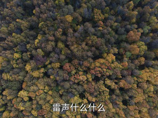 雷聲什么什么