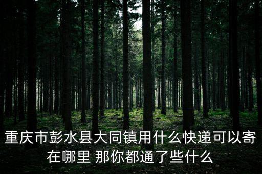 重慶市彭水縣大同鎮開發區電話，大同市的電話區號是多少