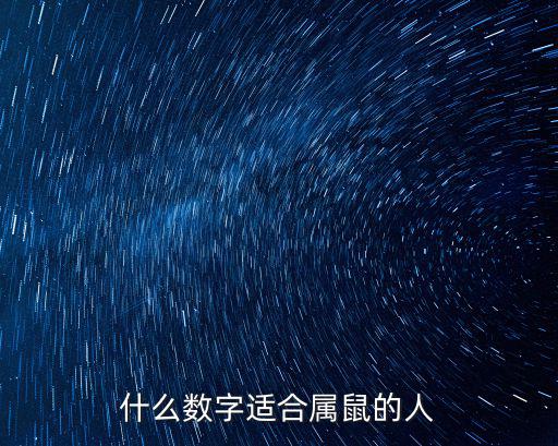 什么數字適合屬鼠的人