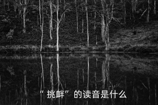 “ 挑釁”的讀音是什么