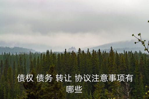 債權(quán)債務(wù)轉(zhuǎn)讓協(xié)議,債權(quán)債務(wù)轉(zhuǎn)讓協(xié)議生效時須兩種情況之一