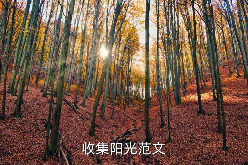 收集陽光范文