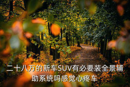 二十八萬的新車SUV有必要裝全景輔助系統嗎感覺心疼車