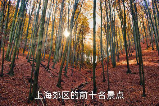 上海周邊旅游景點排行前十，上海郊區的前十名景點