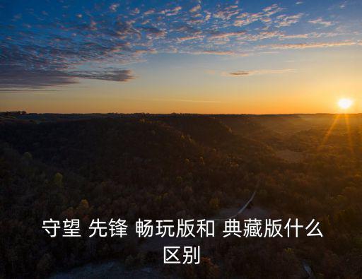  守望 先鋒 暢玩版和 典藏版什么區別