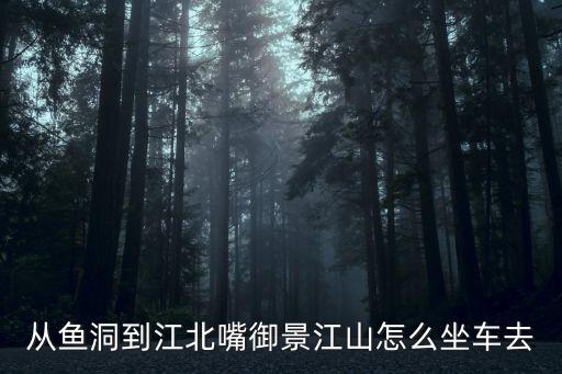 從魚洞到江北嘴御景江山怎么坐車去