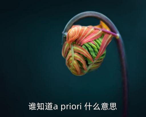 誰知道a priori 什么意思