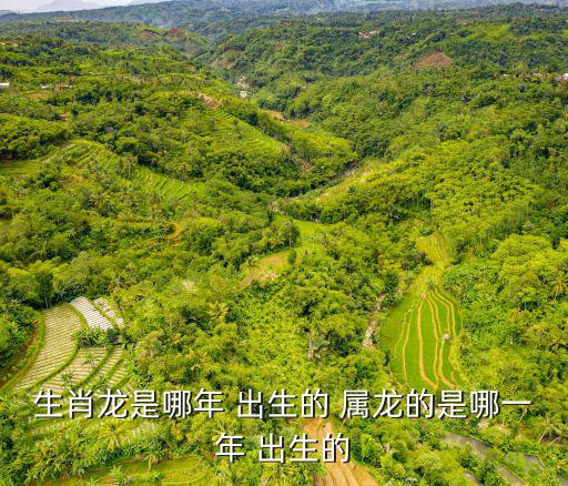 生肖龍是哪年 出生的 屬龍的是哪一年 出生的