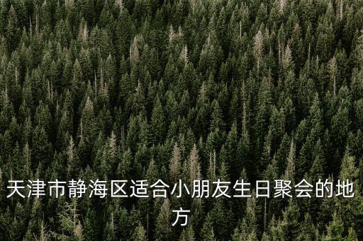 天津市靜海區適合小朋友生日聚會的地方