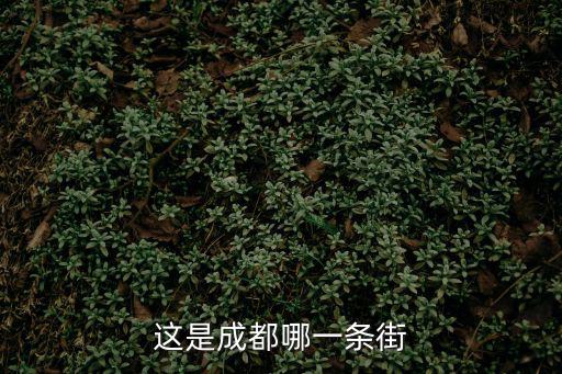 這是成都哪一條街