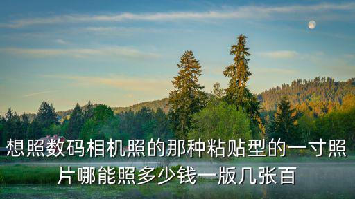 想照數碼相機照的那種粘貼型的一寸照片哪能照多少錢一版幾張百