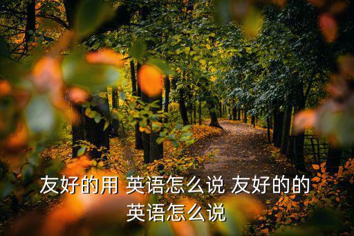  友好的用 英語怎么說 友好的的 英語怎么說