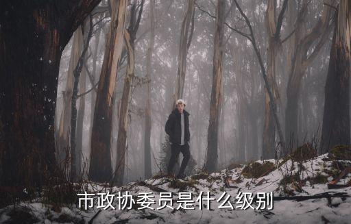 市政協(xié)委員是什么級別