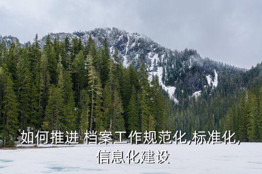 如何推進 檔案工作規范化,標準化, 信息化建設