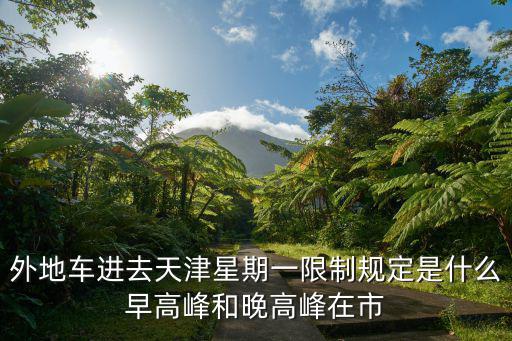 外地車進去天津星期一限制規定是什么早高峰和晚高峰在市