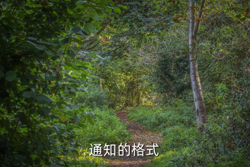 通知的格式