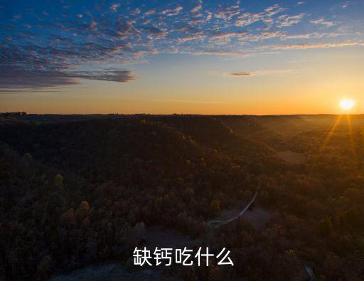  缺鈣吃什么