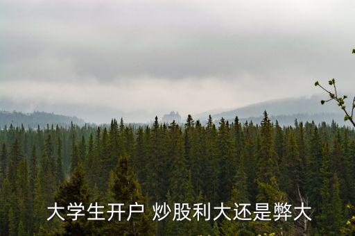  大學生開戶 炒股利大還是弊大