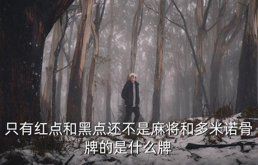 只有紅點和黑點還不是麻將和多米諾骨牌的是什么牌