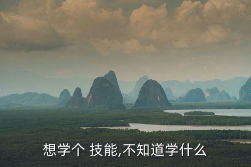 想學個 技能,不知道學什么
