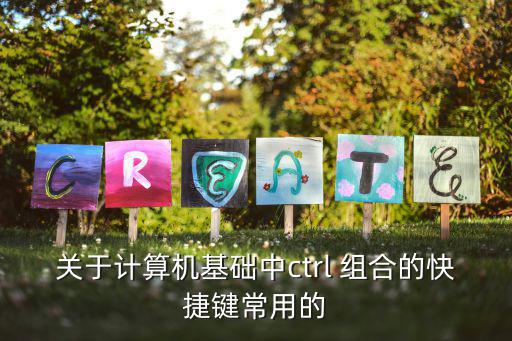 關(guān)于計算機基礎中ctrl 組合的快捷鍵常用的
