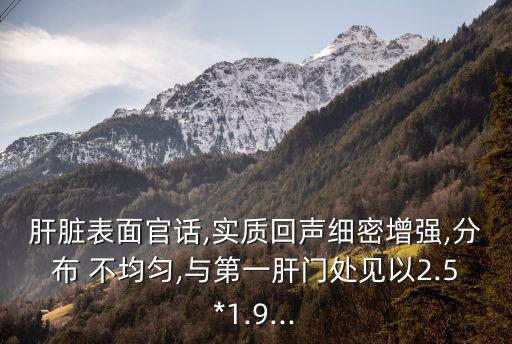 肝臟表面官話,實質回聲細密增強,分布 不均勻,與第一肝門處見以2.5*1.9...
