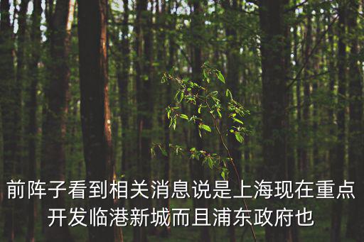 上海的區(qū)政府搬遷，請問有人知道上海市浦東新區(qū)區(qū)政府要搬遷到康橋橫沔地方嗎