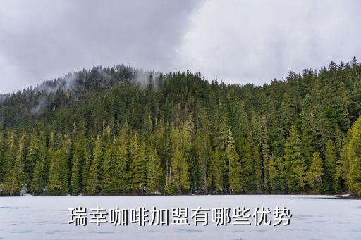 瑞幸咖啡加盟有哪些優勢