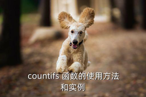  countifs 函數(shù)的使用方法和實(shí)例