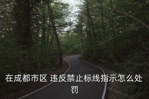 分貝儀 城管 成都市，在成都市區 違反禁止標線指示怎么處罰