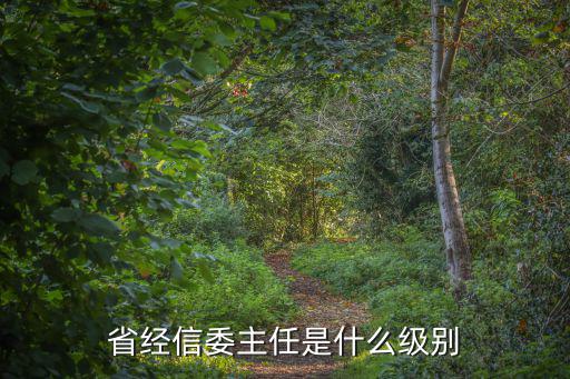 省經信委主任是什么級別