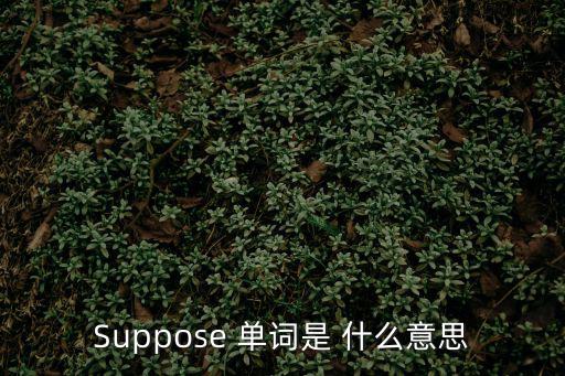 presuppose，誰知道a priori 什么意思