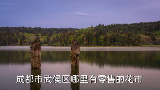 成都市武侯區哪里有零售的花市
