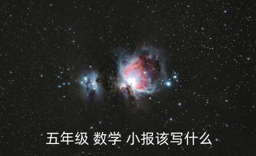  五年級 數學 小報該寫什么